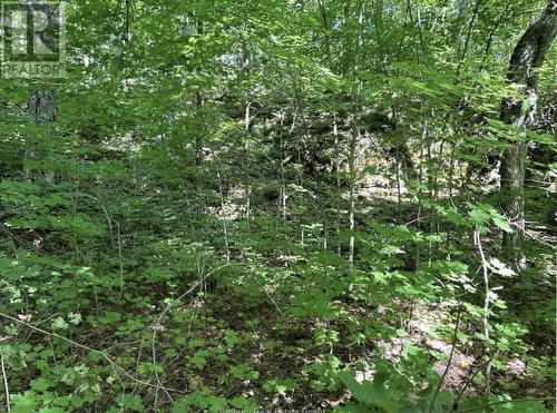N/A Monument Road, Spring Bay, ON 