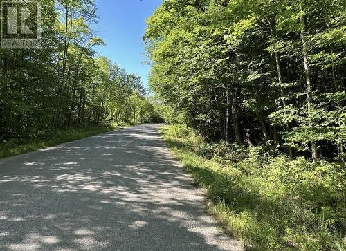 N/A Monument Road, Spring Bay, ON 