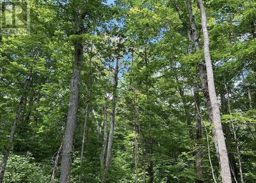 N/A Monument Road, Spring Bay, ON 