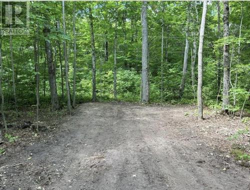 N/A Monument Road, Spring Bay, ON 