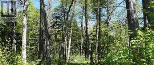 Lot - 126 Nippissing Ridge Road, Tiny, ON 