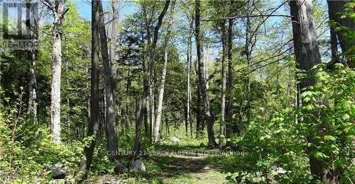 122 Nippissing Ridge Road, Tiny, ON 