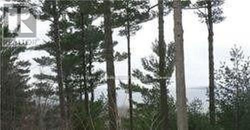122 Nippissing Ridge Road, Tiny, ON 