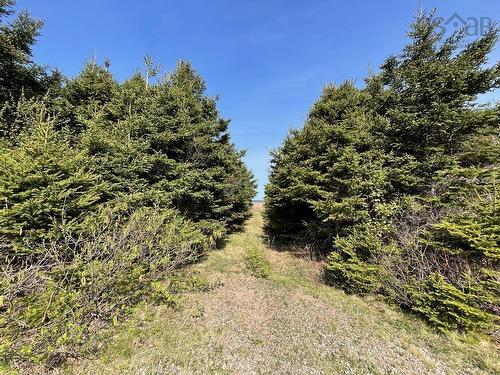 99 Pleasant Bay Loop, Pleasant Bay, NS 