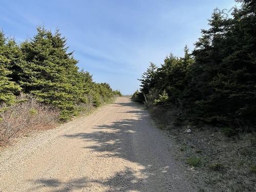 99 Pleasant Bay Loop, Pleasant Bay, NS 