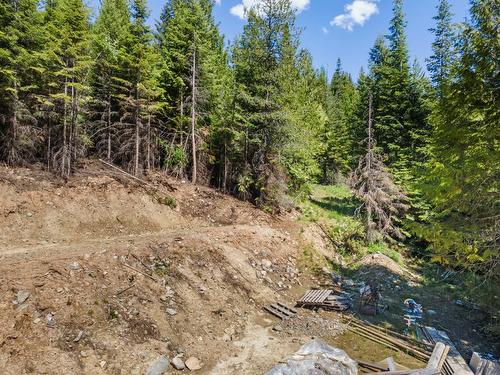 7034 3 Highway, Kitchener, BC - Outdoor With View