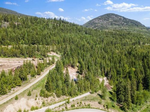 7034 3 Highway, Kitchener, BC - Outdoor With View