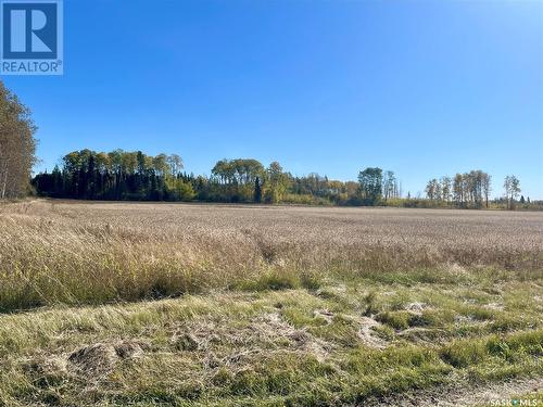 Morton Land 38.97 Acres, Hudson Bay Rm No. 394, SK 