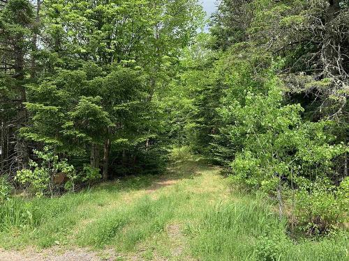 Lot 6 Highway 321, Roslin, NS 