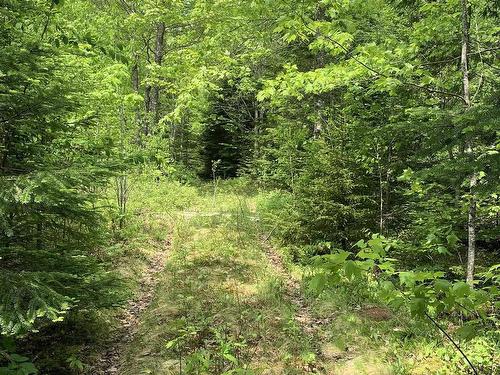 Lot 6 Highway 321, Roslin, NS 