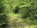 Lot 6 Highway 321, Roslin, NS 