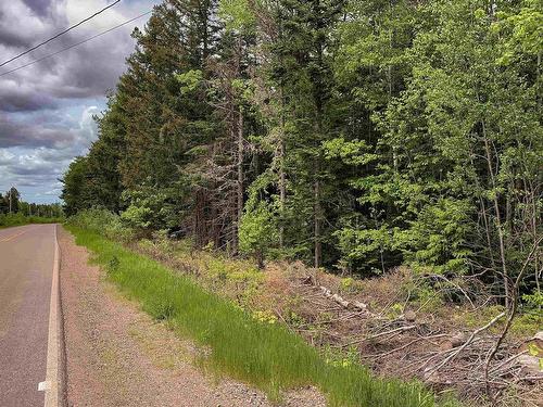 Lot 6 Highway 321, Roslin, NS 