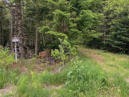 Lot 6 Highway 321, Roslin, NS 