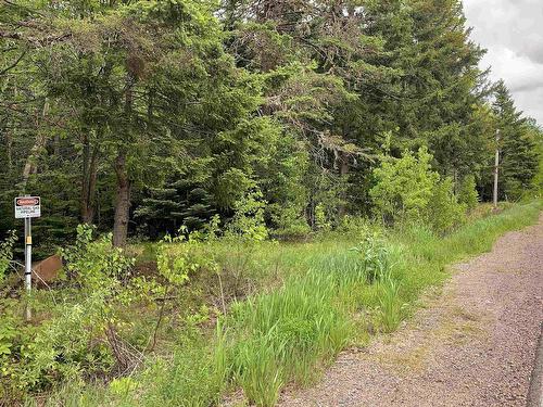 Lot 6 Highway 321, Roslin, NS 