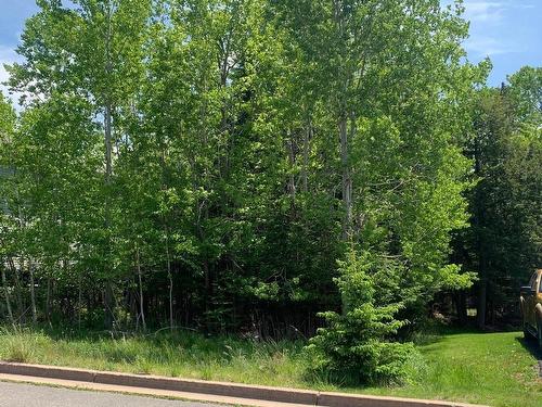 10 Brighton Way, Truro, NS 