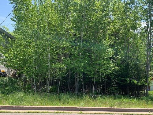 10 Brighton Way, Truro, NS 