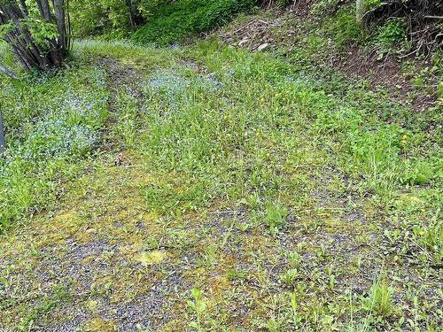 1252 River Road, Bear River, NS 