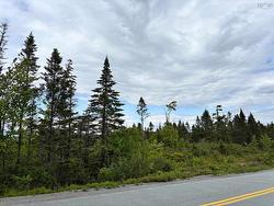 Lot Fd-4 Mooseland Road  Mooseland, NS B0J 3H0