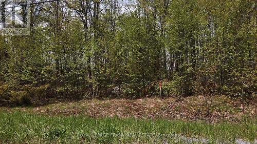 00 Birchview Road, Douro-Dummer, ON 