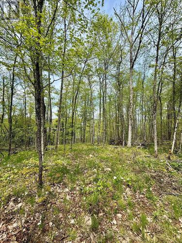 00 Birchview Road, Douro-Dummer, ON 