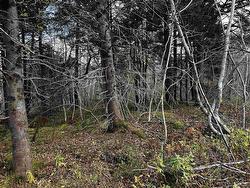 381 Marshalltown Road  Marshalltown, NS B0V 1A0