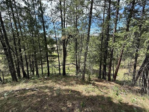 Proposed Lot 14 - 6145 Parnaby Road, Cranbrook, BC 