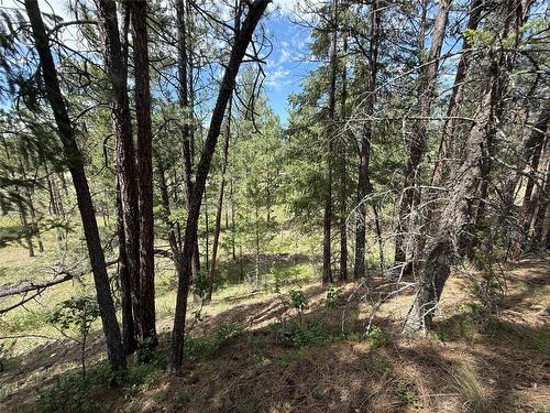 Proposed Lot 14 - 6145 Parnaby Road, Cranbrook, BC 