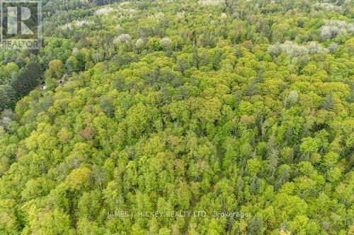 0 Josie Lane, Deep River, ON 