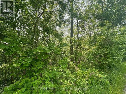 489 Caithness Street E, Haldimand, ON 