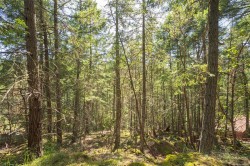 3705 Keel Cres  Pender Island, BC V0N 2M0