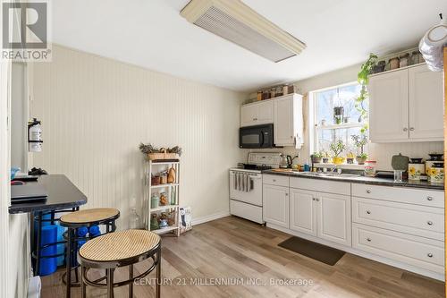 207 Beaver Street, Thorold, ON - Indoor Photo Showing Kitchen With Double Sink