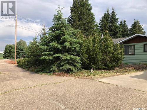 226 Saskatchewan Street E, Kamsack, SK - Outdoor