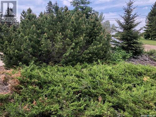 226 Saskatchewan Street E, Kamsack, SK - Outdoor