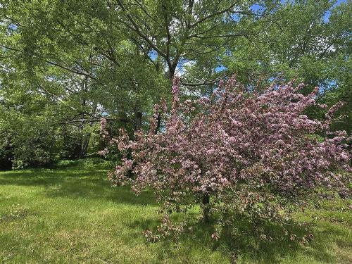 40 Broad St, Guysborough, NS 