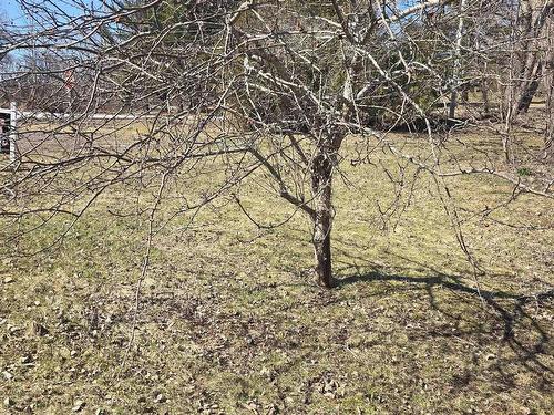 40 Broad St, Guysborough, NS 