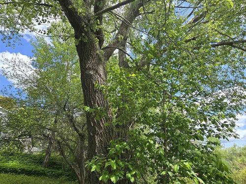 40 Broad St, Guysborough, NS 