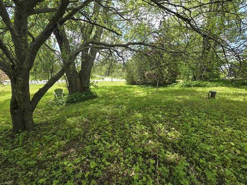 40 Broad St, Guysborough, NS 