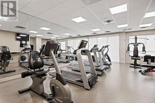 101 - 9 Northern Heights Drive, Richmond Hill, ON - Indoor Photo Showing Gym Room