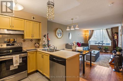 101 - 9 Northern Heights Drive, Richmond Hill, ON - Indoor Photo Showing Kitchen With Double Sink