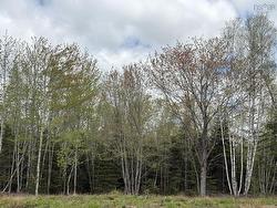 Lot 3 Highway 14  Upper Nine Mile River, NS B2S 2Z3