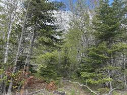 Lot 5 Highway 14  Upper Nine Mile River, NS B2S 2Z3