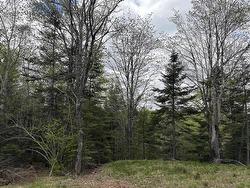 Lot 4 Highway 14  Upper Nine Mile River, NS B2S 2Z3