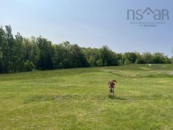 1129 Mckenzie Mountain Road  Litchfield, NS B0V 1A0