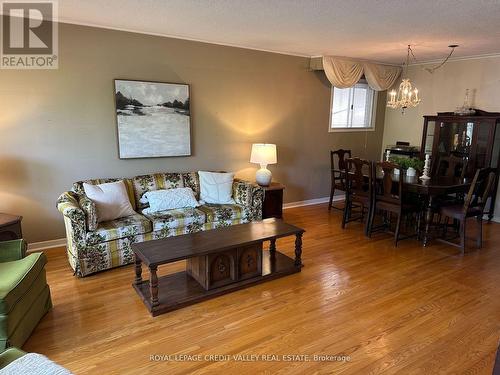 82 Terra Cotta Crescent, Brampton, ON - Indoor Photo Showing Living Room