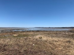 Bord de l'eau - 
