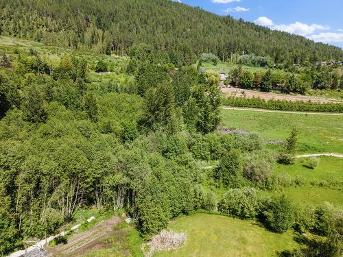 924 Devon Street, Creston, BC - Outdoor With View