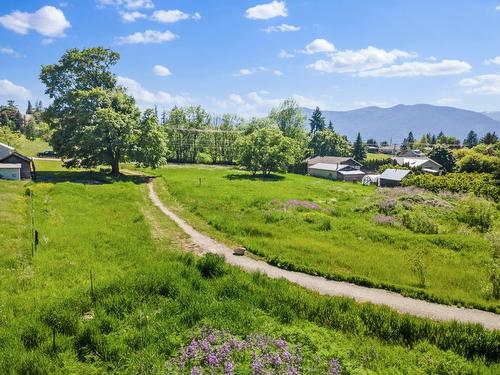 924 Devon Street, Creston, BC - Outdoor With View