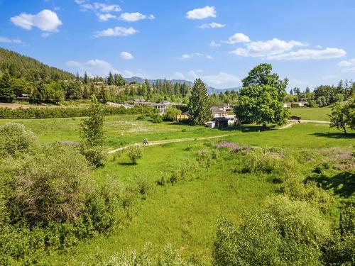 924 Devon Street, Creston, BC - Outdoor With View