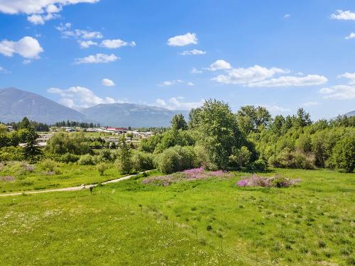924 Devon Street, Creston, BC - Outdoor With View
