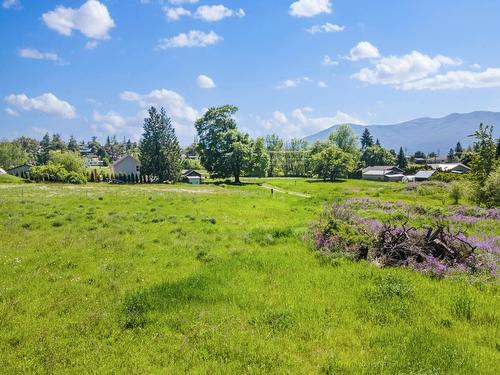 924 Devon Street, Creston, BC - Outdoor With View